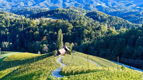 Poznate srce med vinogradi z Instagrama? Brezplačno fotografiranje od zdaj naprej tukaj ne bo več mogoče!