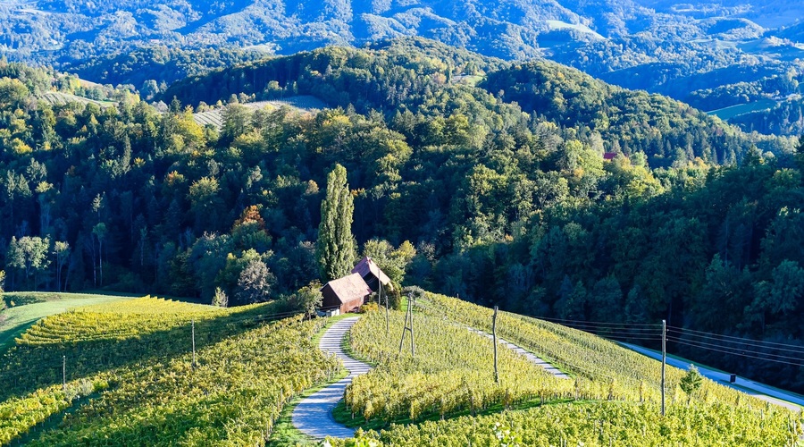 Poznate srce med vinogradi z Instagrama? Brezplačno fotografiranje od zdaj naprej tukaj ne bo več mogoče! (foto: profimedia)