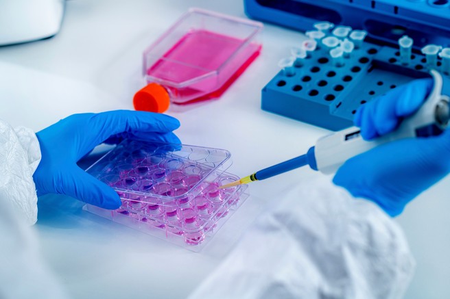 Koronavirus: Kdo je v resnici bolje zaščiten - preboleli ali cepljen?