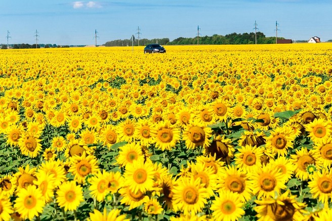 Alternativni pogoni za brezogljično družbo (in kako do ničelnih emisij do leta 2050)