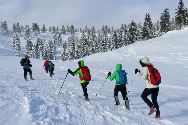 Gore pozimi rezervirane le za izkušene posameznike: velika možnost plazov!