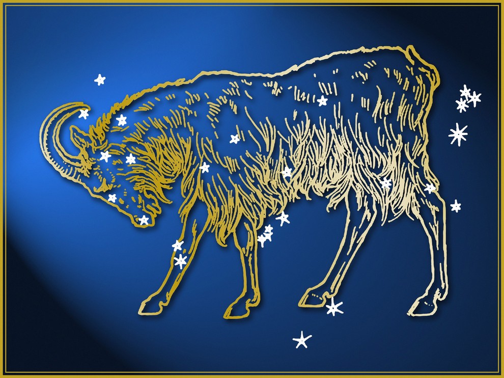 Kozorog Po letih finančnih bojev in občutka, da se morate nenehno boriti, se vam odpira priložnost, da končno zadihate. Vesolje …