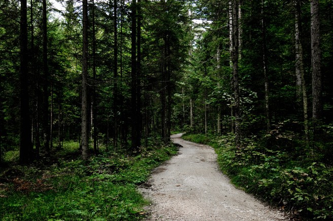 Kaj je motnja pomanjkanja narave in ali jo imate tudi vi?