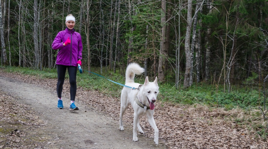 Če iščete način, kako shujšati s hojo: Tu je 4-tedenski načrt (foto: Profimedia)