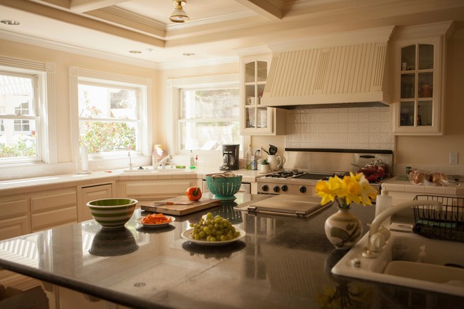 TA predmet v vaši kuhinji je boljše gojišče bakterij kot laboratorij (in VSI ga imamo)