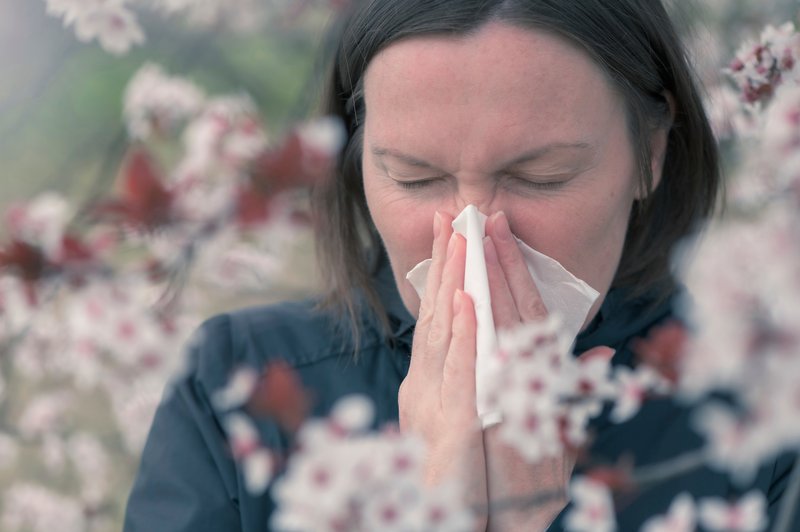 Ob menjavi letnih časov se pogosto pojavijo nekatere sezonske alergije. (foto: Profimedia)
