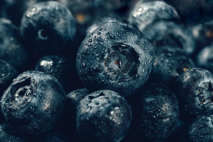 BOROVNICE Antocianini, ki jih najdemo v borovnicah, robidah, rdečem grozdju, češnjah in drugem temno obarvanem sadju, spodbudijo raven dobrega HDL …