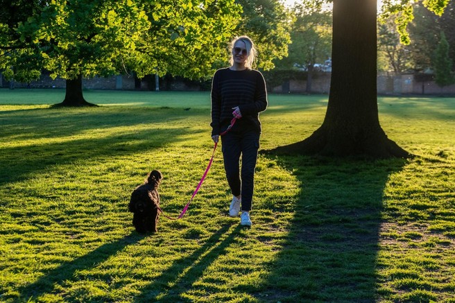 Hoja za hujšanje: Je mogoče s hojo izgubiti trebušno maščobo?
