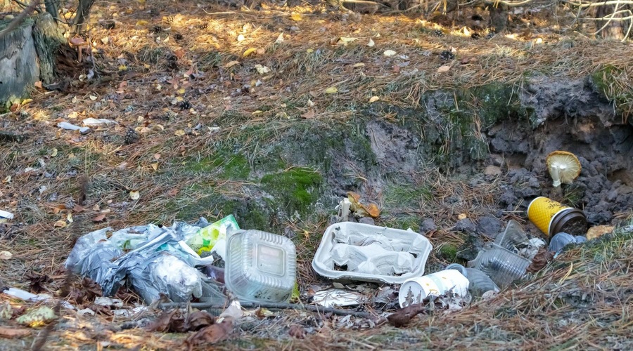 V TEM delu Slovenije odkrili kar 40 ČRNIH ODLAGALIŠČ (foto: Profimedia)