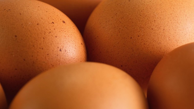 Če na jajčni lupini opazite temne pike in izboklinice, kaj morate narediti? (foto: Profimedia)