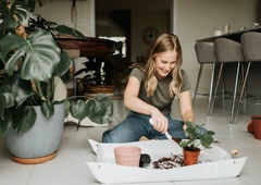 Ste vedeli, da lahko ostanke hrane uporabite za gnojenje sobnih rastlin?