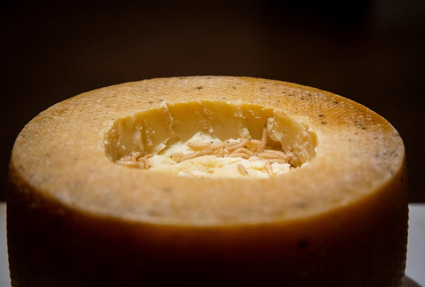 Casu marzu Večina si z veseljem privošči košček sira. Zjutraj pri zajtrku, za malico, v toastu. Radi ga uporabimo tudi …