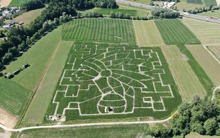 Ideja za izlet: Obiščite koruzni labirint – velik kar 6 nogometnih igrišč
