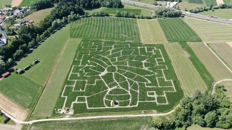 Ideja za izlet: Obiščite koruzni labirint – velik kar 6 nogometnih igrišč