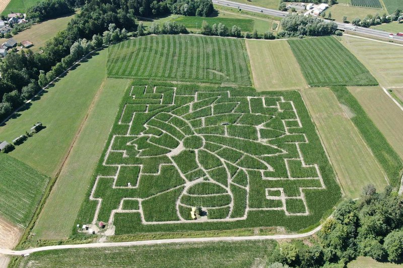 Ideja za izlet: Obiščite koruzni labirint – velik kar 6 nogometnih igrišč (foto: Promocijsko gradivo)
