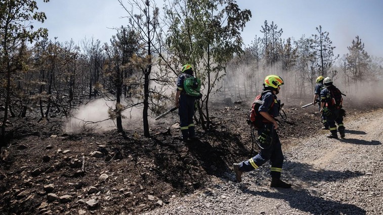 Pripoved gasilca o gašenju največjega požara v Sloveniji: "Na tleh je bilo videti samo še golo prst, kamne in skale." (foto: Profimedia)