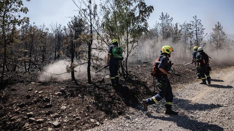 Pripoved gasilca o gašenju največjega požara v Sloveniji: "Na tleh je bilo videti samo še golo prst, kamne in skale."