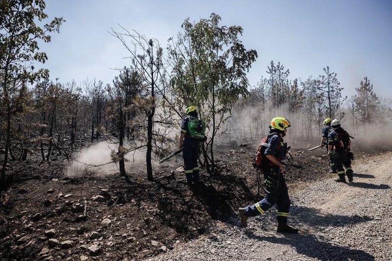 Pripoved gasilca o gašenju največjega požara v Sloveniji: "Na tleh je bilo videti samo še golo prst, kamne in skale." (foto: Profimedia)
