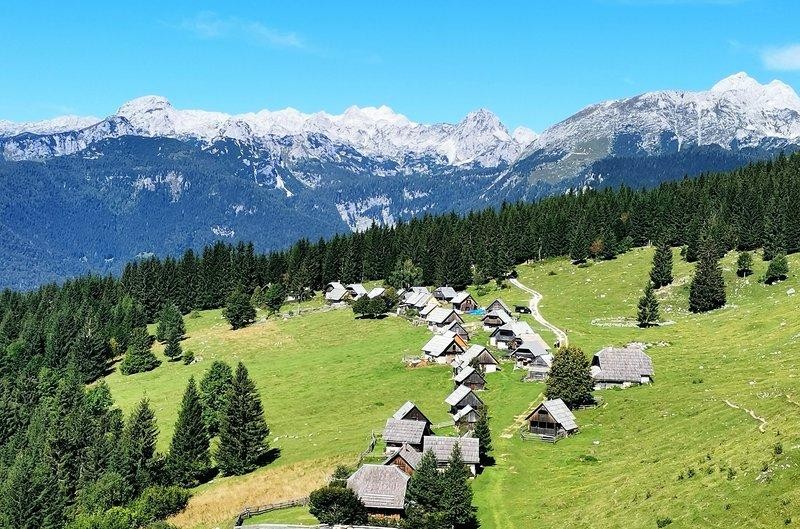 Na sliki: Planina Zajamniki KAKŠNE AKTIVNOSTI MORAMO POČETI, DA BOMO ČUTILI DOBRE POSLEDICE? Ne boste verjeli temu odgovoru ... Strokovnjaki …