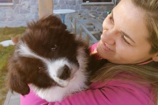 "Pomeranka je bila štiri leta zaprta v majhni kletki, brez stika s človekom, ker je puščala dlako.ʺ