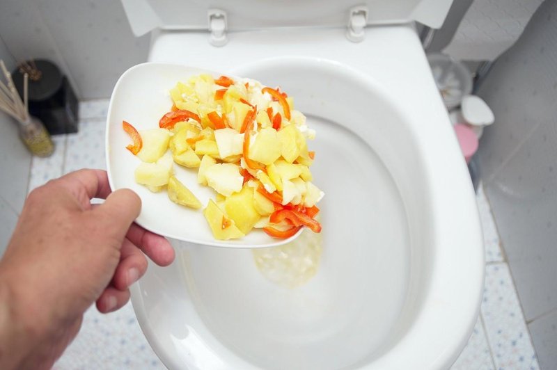 ZATO ostankov hrane nikoli ne smete metati v straniščno školjko! (ne, niti kavnih usedlin) (foto: Profimedia)