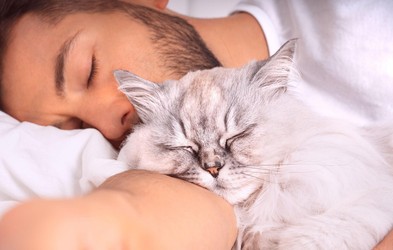 Dovolite vaši mački spati z vami v postelji? Poglejte, kakšne posledice ima lahko to za vas in vašega ljubljenčka!