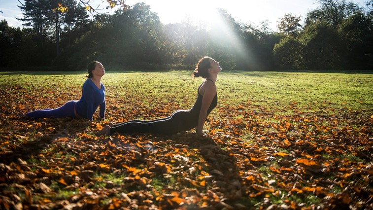 To so 4 skrite koristi joge na zdravje, zaradi katerih jo boste (končno!) hoteli preizkusiti (foto: Profimedia)