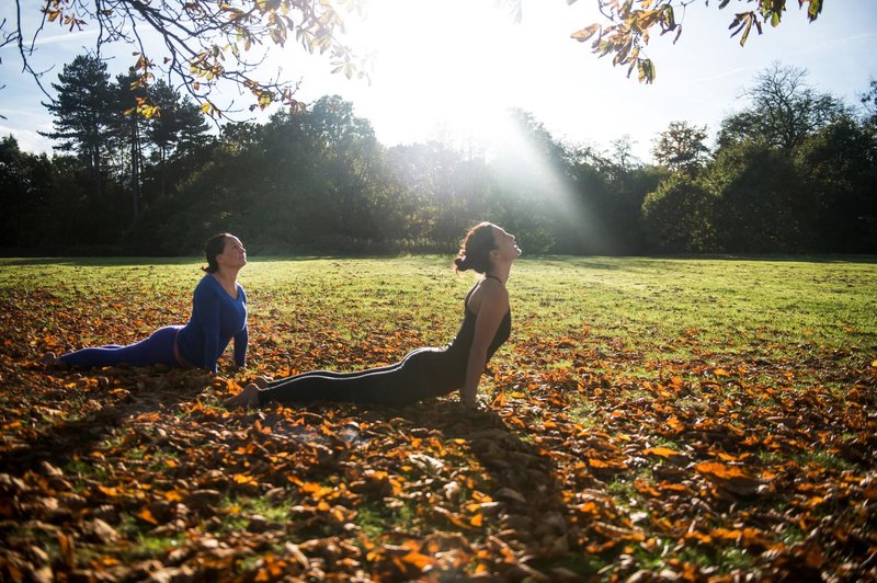 To so 4 skrite koristi joge na zdravje, zaradi katerih jo boste (končno!) hoteli preizkusiti (foto: Profimedia)