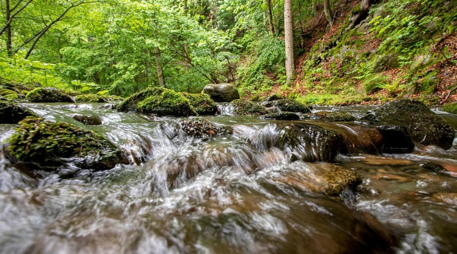 Kam na izlet za krompirjeve počitnice? (+ ideje v primeru dežja) (foto: Profimedia)