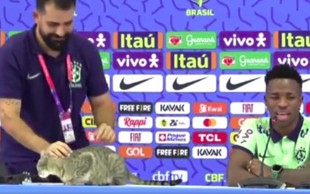 Sramota na tiskovni konferenci brazilske reprezentance: tiskovni predstavnik zagrabil mačko, potem pa ... (VIDEO)