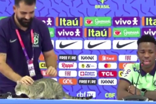 Sramota na tiskovni konferenci brazilske reprezentance: tiskovni predstavnik zagrabil mačko, potem pa ... (VIDEO)