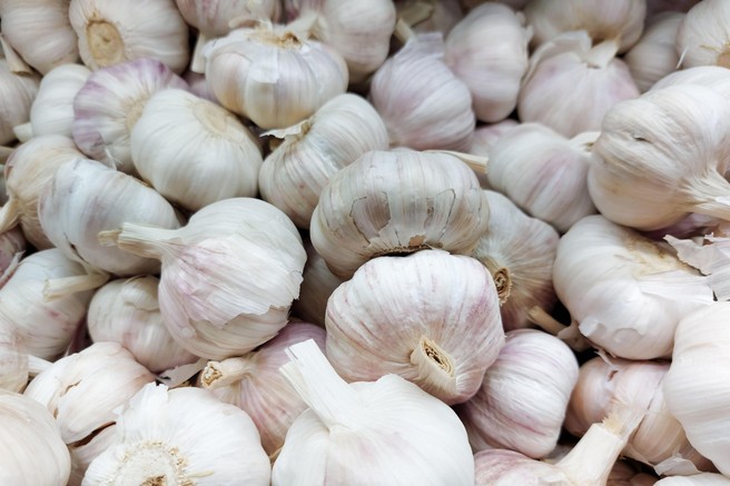Čeprav velja za naravni antibiotik, je ČESEN odsvetovan za te 4 skupine ljudi!