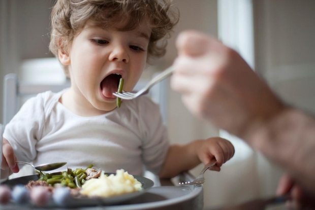 Končno osmislimo to vojno z zelenjavo: kaj je na njej takšnega, da je otroci ne bi jedli? In celo nekateri …