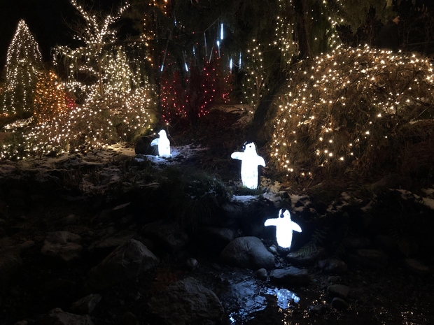 V Mozirskem gaju vsako leto ustvarijo Božično bajko, ki je vsekakor vredna ogleda tako za odrasle kot za otroke. Letos …