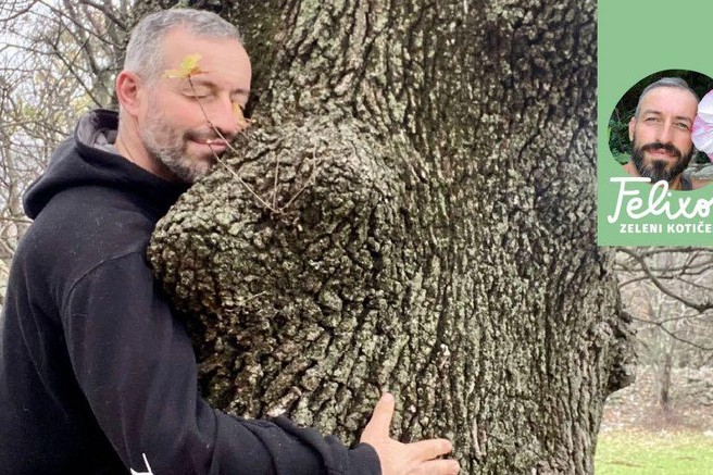 To so rastline z najlepšo okrasno skorjo (FOTO)