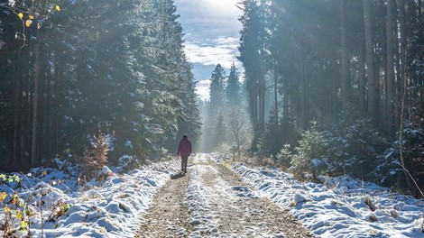 Če ste zanemarili vadbo v decembru, ohranite vsaj hojo - takšne posledice vam prinaša! + NAGRADNA IGRA za pohodnike: knjižica Moj planinski dnevnik