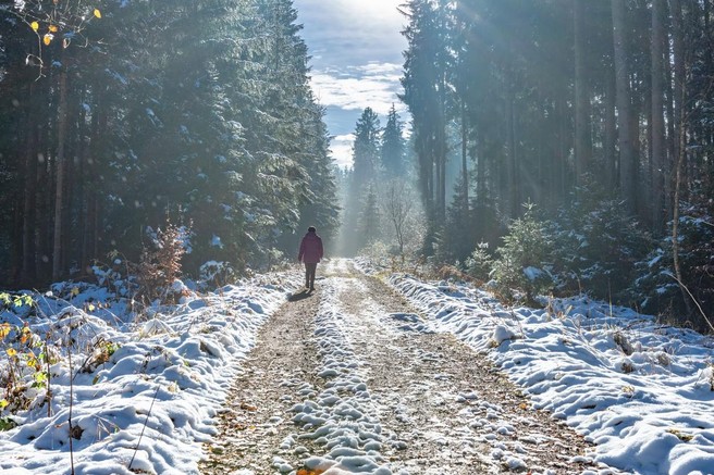 Če ste zanemarili vadbo v decembru, ohranite vsaj hojo - takšne posledice vam prinaša! + NAGRADNA IGRA za pohodnike: knjižica Moj planinski dnevnik