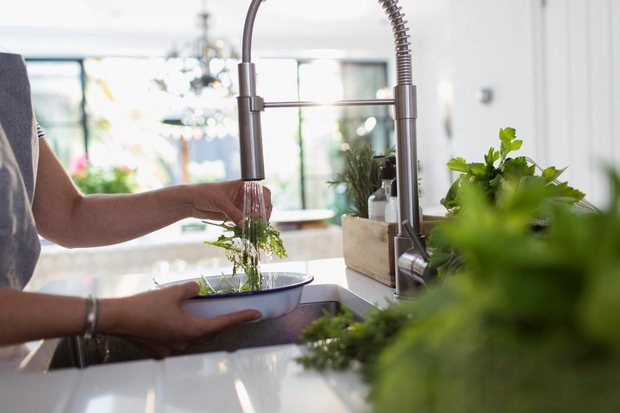 KDAJ STE NAZADNJE OČISTILI KUHINJSKO PIPO? Iz kuhinjske pipe teče voda, zato jo morda na hitro povežete s čistočo in …