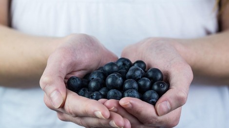 JAGODIČEVJE 

Borovnice, jagode in maline spadajo med naravna superživila, ki so bogata z antioksidanti, vitamini in minerali. Uživanje teh neverjetnih sadežev odlično pripomore tudi k zdravju jeter, saj imajo s svojimi vsebnostmi bogatih vitaminov celo zmožnost za 23 odstotkov zmanjšati  raven encimov, ki se sproščajo iz jetrnih celic, ko so te poškodovane.