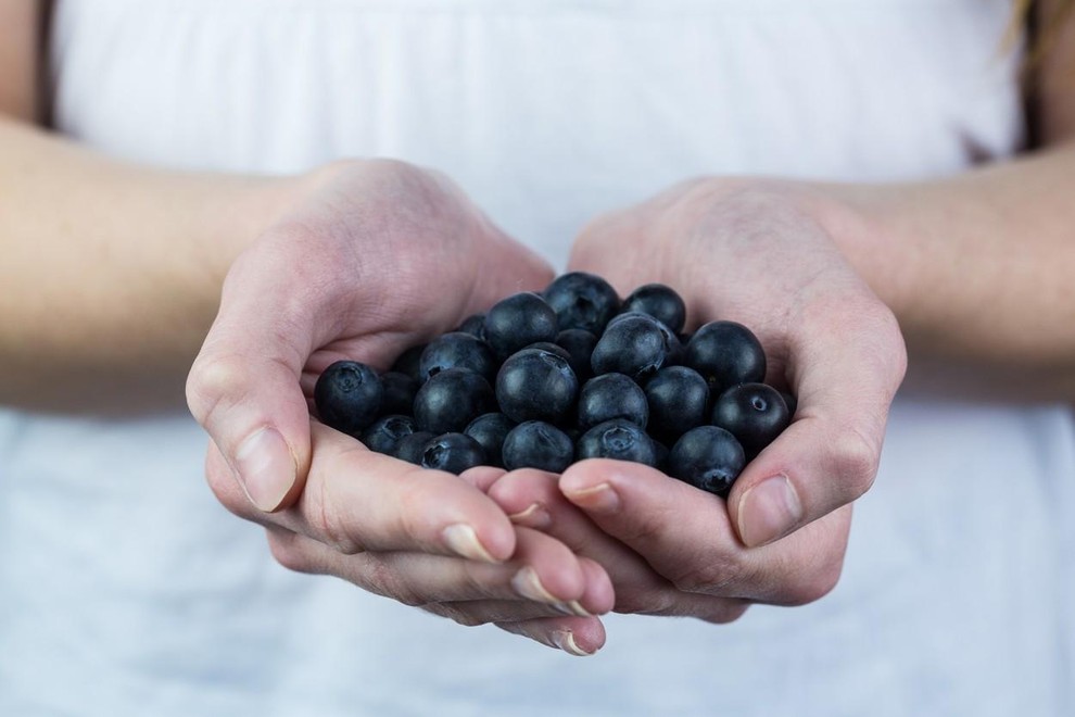 JAGODIČEVJE Borovnice, jagode in maline spadajo med naravna superživila, ki so bogata z antioksidanti, vitamini in minerali. Uživanje teh neverjetnih …