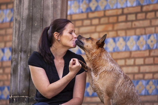 Po podatkih ene od raziskav kar 35 % sodelujočih dovoli, da jim pes da "moker poljubček" na ustnice. (raziskava: https://yougov.co.uk/topics/health/articles-reports/2020/03/05/how-much-problem-humans-kissing-dogs) …