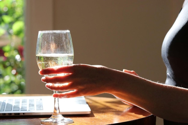 Privoščite si kozarec vina (ali dva?) Pa saj ste tako ali tako doma s prehladom ali drugo boleznijo, kajne? Koliko …