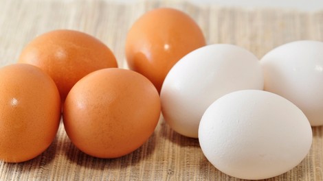 V TEM je v resnici razlika med rjavimi in belimi jajci
