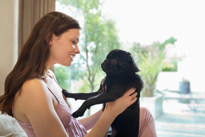 Lastniki psov: Družabne in energične osebnosti

Psi so znani po tem, da svoje lastnike brezpogojno obožujejo in sprejemajo. Ob prihodu domov pozdravijo na vratih in včasih od navdušenja skočijo na vas, kar je balzam za ljudi, ki imajo izrazito potrebo po čustveni stabilnosti in varnosti. Lastniki psov so običajno tudi samozavestni, vztrajni, odločni, energični in družabni.