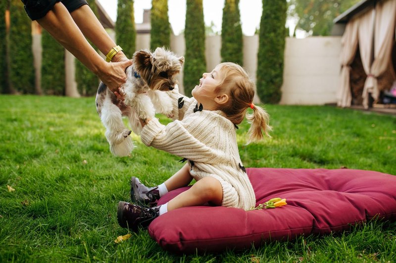 Si vaši otroci želijo psa? Najprej naj opravijo TA preizkus in dokažejo, da bodo zanj skrbeli (foto: Profimedia)