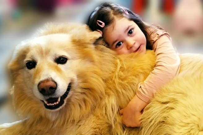 Skupaj s štirinožnimi prijatelji lahko pomagamo 4-letni Karolini, ki se bori s smrtonosno boleznijo: preverite, kako