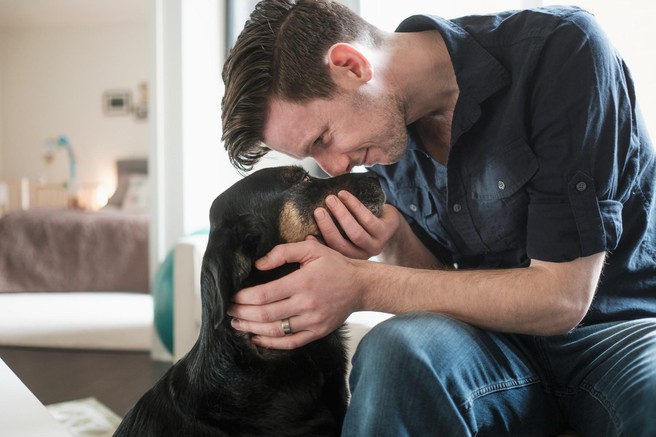 Kaj v resnici tvegate, če si ne umijete rok, potem ko pobožate psa?