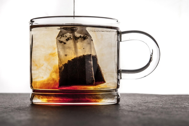Pripravite skodelico čaja in pustite, da se popolnoma ohladi. Nato z njim zalijte sobne rastline. Čaj in čajni listi so …