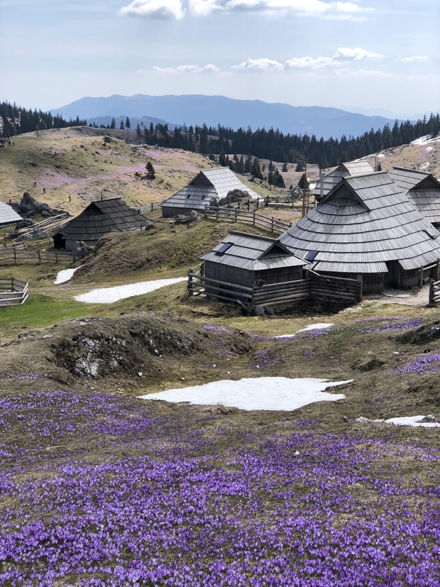 Lahko se povzpnete na najvišji vrh Gradišče, ki meri 1666 m, ali pa do Male in Velike planine. Na Gradišču …