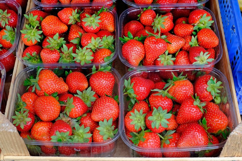 Jagode so priljubljeno sadje, bogato z vitamini. (foto: Profimedia)